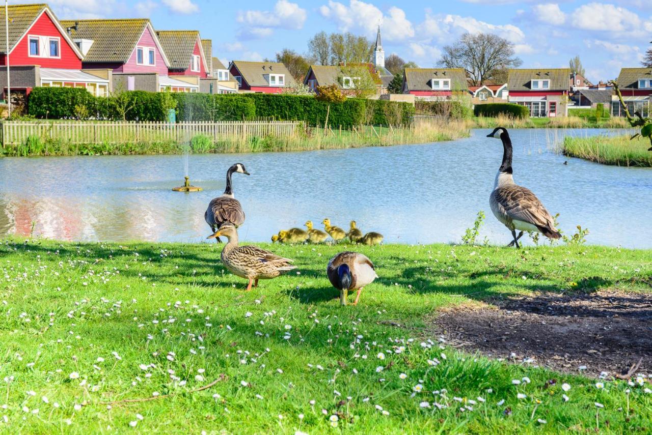 Maxime 292 - Kustpark Village Scaldia Hoofdplaat Eksteriør billede